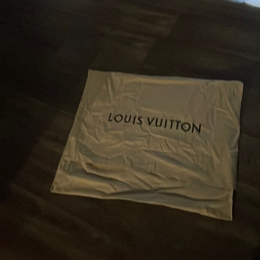 Louis Vuitton never full dust bag
